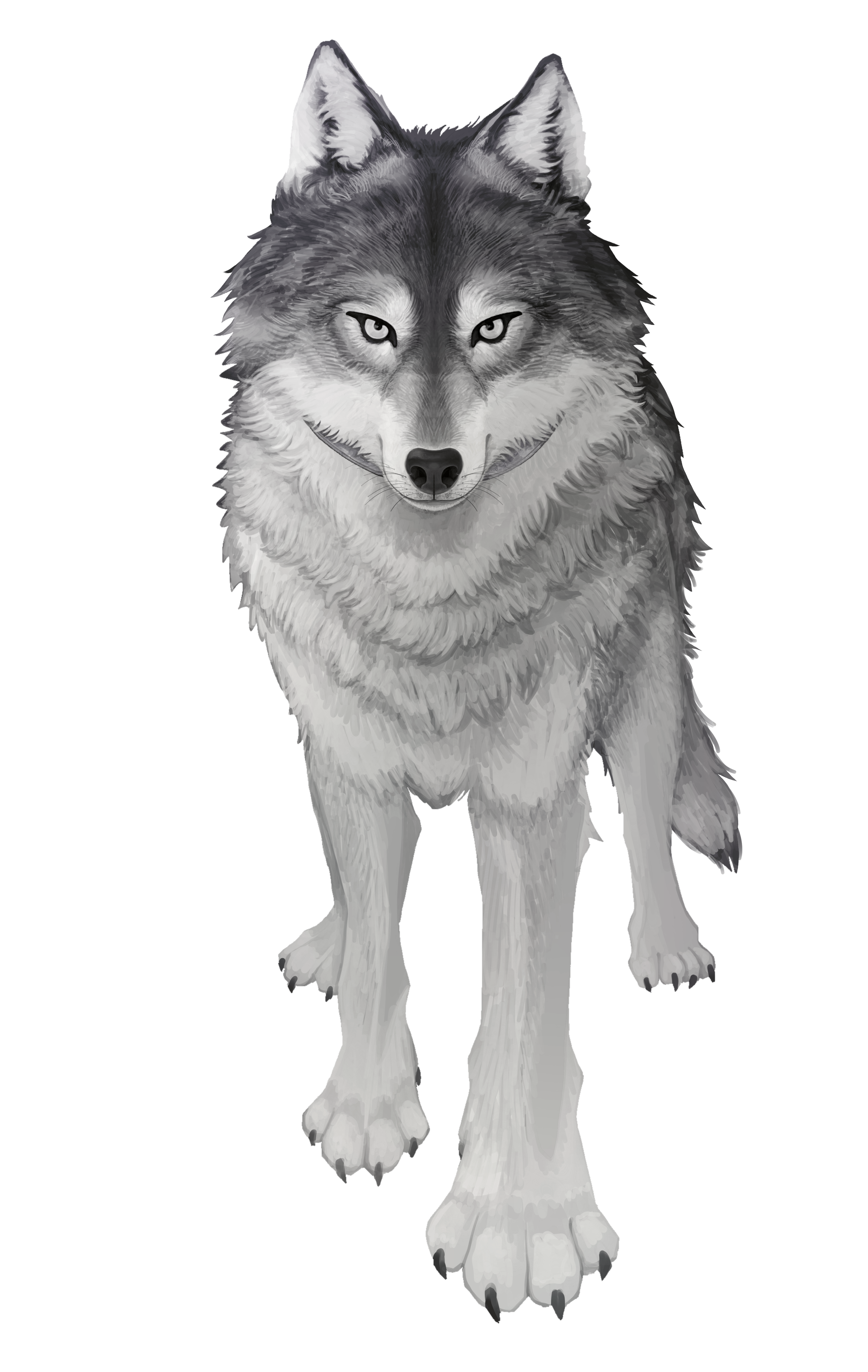 スチルイラスト: still2.png