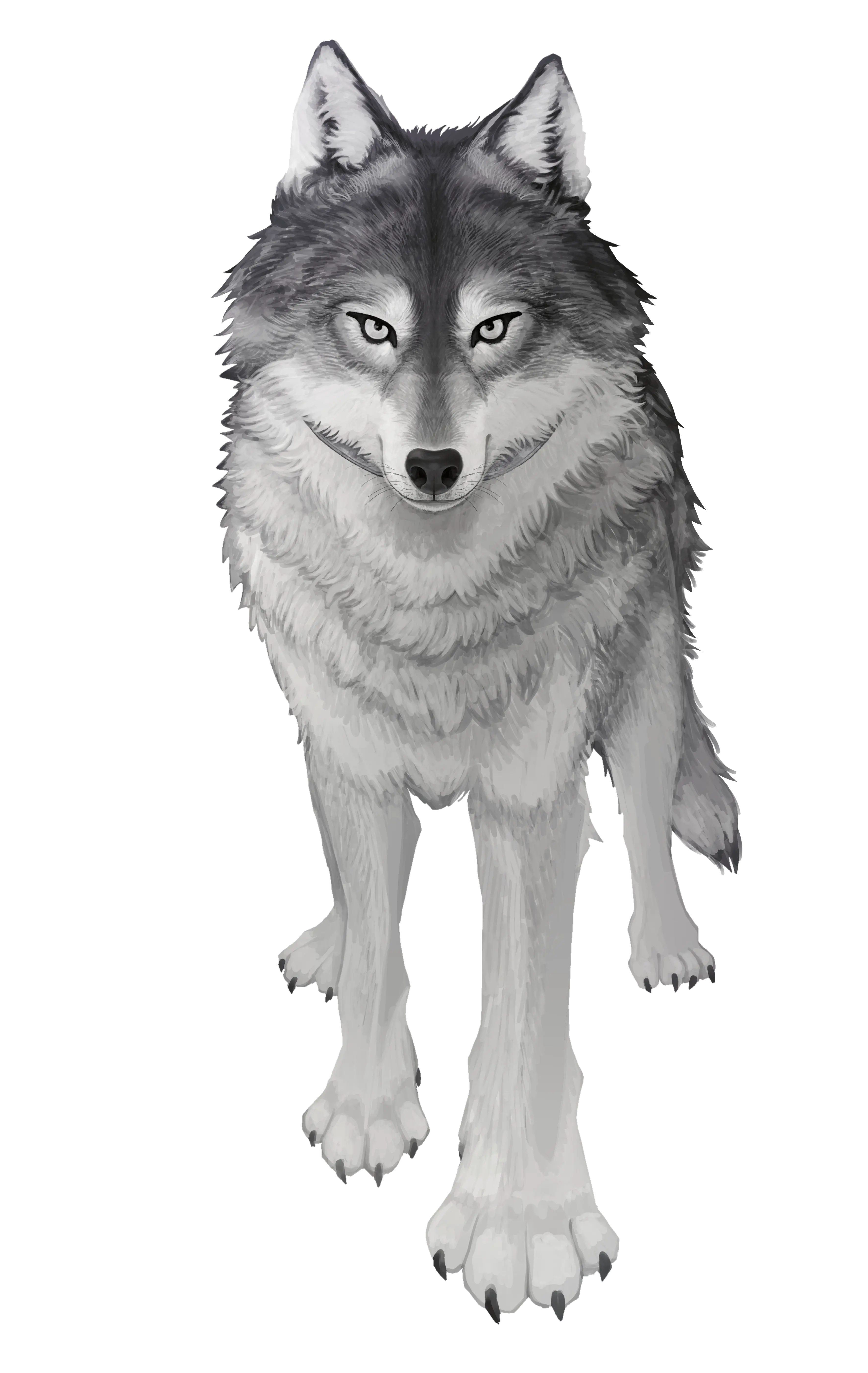 スチルイラスト: still2.webp